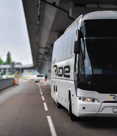 Background Contact Info